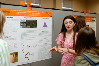 Photo from the showcased projects