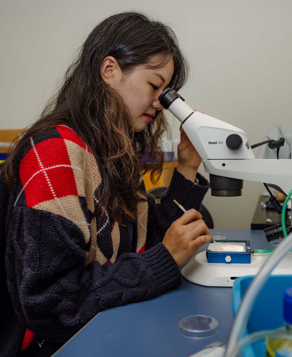 Pharmacy student working in the lab