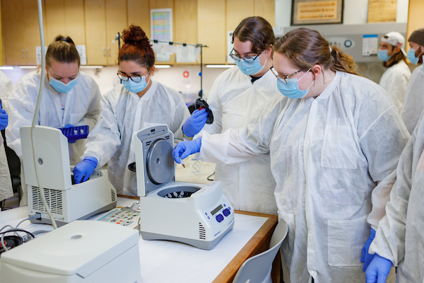 working with DNA in forensics lab