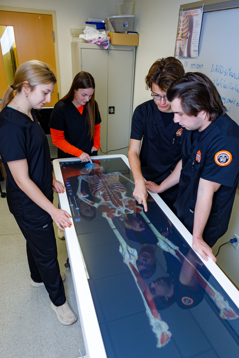 students working on anatomage table