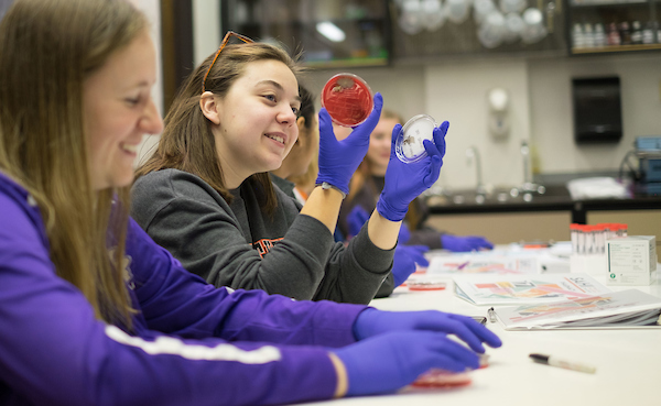 Pharmacy Summer Camp