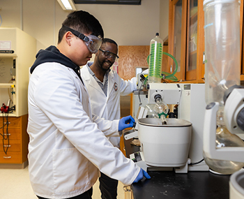 Photo of Pharmacy students in a lab