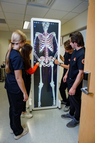 Photo of the ONU Table vertical showing a skeleton