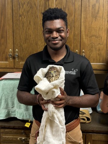 Photo of Ozzie drying off an bird in a towel