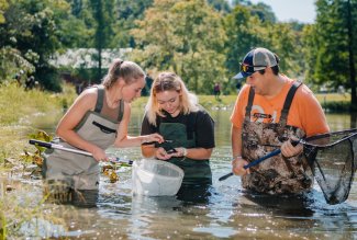 Students exploring flora and fauna in a pond at Ohio Northern University's Metzger Nature Center.